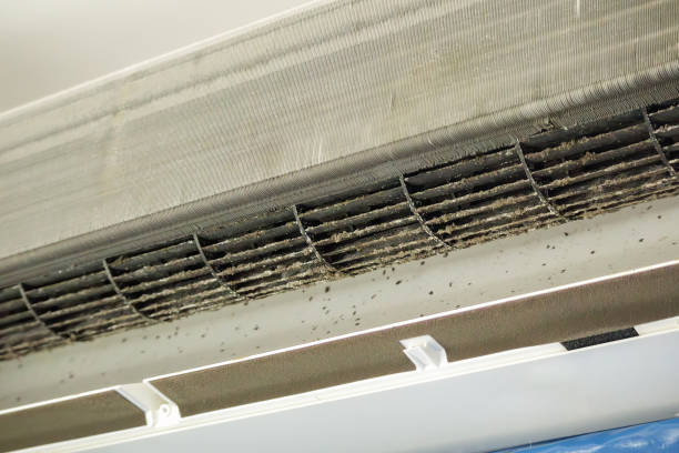 Best Air Duct Cleaning Cost  in Selma, CA
